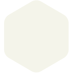 Princess bling T15 11.1