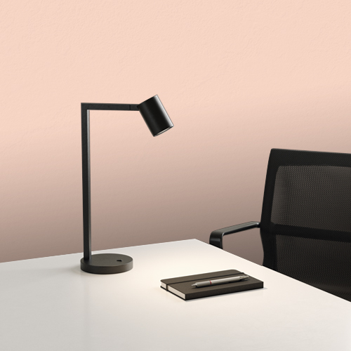 Spanish Rose T15 193.2