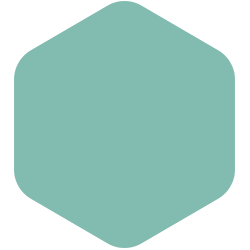 Bounding Main T12 48.E5