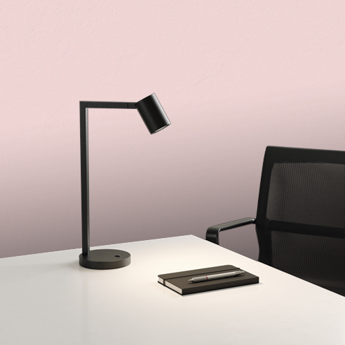 Pigtail Pink T15 202.1