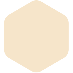 Cream Torte T15 188.1