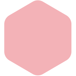 In the Pink T15 201.3